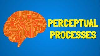 How Your Brain Interprets Reality: The Science of Perception. Perceptual Processes Free PDF Download