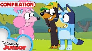 Bluey Compilation | S1 Full Episodes | Keepy Uppy & MORE! | @disneyjr x@BlueyOfficialChannel