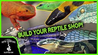 HOW TO START A REPTILE SHOP! (New REPTILE STORE tour)