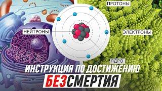 Бессмертие! Активация ЯДЕРНОГО Генома Человека! ПРОСЫПАЙТЕСЬ! Ткань Мироздания. Игорь Биопатриот