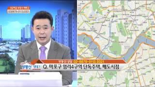 [성공예감 부동산 재테크] 김포한강신도시vs미사강변도시, 아파트 매수문의&마포구 염리4구역 단독주택, 매도시점_세종국토개발 전은성 대표