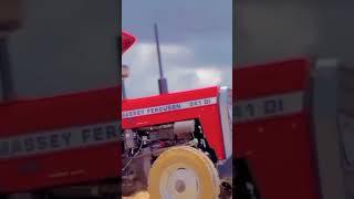 Massey Ferguson 241 Di#tatar #tatarvideo #viral #massey #masseyvideo #masseylover #jaat #jaatjamidar