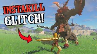 New INSTAKILL Glitch! Kill ANYTHING in One Hit! | Zelda: Tears of the Kingdom