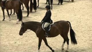 Class 121   Amateur Owner Hunter Under Saddle 36 & Over