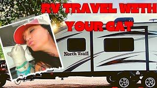 RV Travel with your cat | What's worked from scratching to litterbox concerns