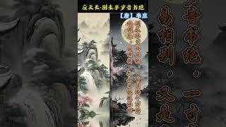 应天长·别来半岁音书绝，唯美古诗词 #唐诗三百首 #chinesepoetry #诗词