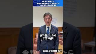 食料品の消費税をゼロにする理由は？「物価高対策」と「財源に責任を持つ」バランスの取れた立憲案を解説