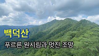 220821 / 백덕산 / 푸르른 원시림과 멋진 조망 / 흥원사(구.관음사)-설통바위-제단터-용바위-백덕산-촛대바위-신선바위-흥원사 입구 /