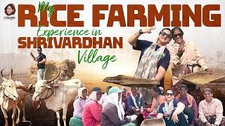 My Rice Farming Experience in Shrivardhan Village | Village Rice Farming | Ali Reza | Latest Video