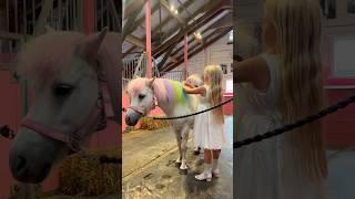 Ella braid Soria’s hair #pony #horse #equestrian