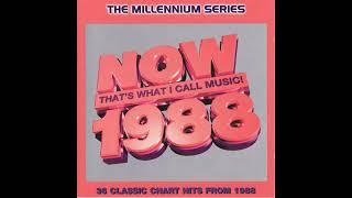 Now That's What I Call Music! 1988 CD2