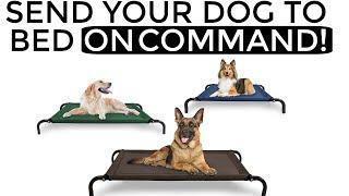 How to teach your dog to go to their bed ON COMMAND- The easiest dog training process