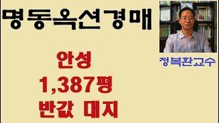 안성 1,387평 반값 대지