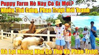 Đà Lạt Puppy Farm Có Gì Hot?Phao Trượt Mới Toanh, Nhiều Thú