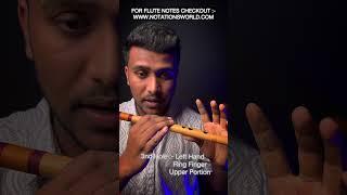 How To Hold Middle Flute | बांसुरी को पकड़ने का सही तरीका | Beginners Flute Lesson 2 #flutetutorial