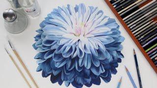 The #1 Skill You Need for Realistic Colored Pencil Drawings