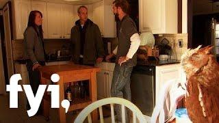 Tiny House Nation: The Birds' Nest (S2, E6) | FYI