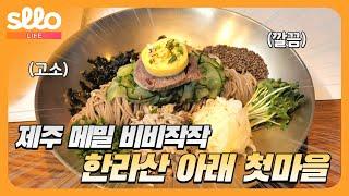 [sllo - 때깔나는 제주] 비비작작면으로 유명한 제주 메밀 맛집 한라산 아래 첫 마을