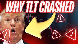 Donald Trump Is The Reason TLT Crashed - *Explained*