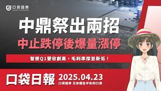 智原(3035)Q1營收創高，毛利率探至新低！中鼎（9933）祭出兩招，股價終止四跌停！| 口袋日報 | 2025.04.23
