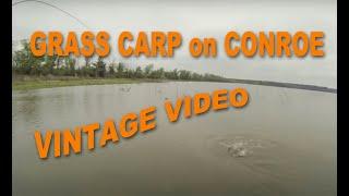 Catch Grass Carp on Lake Conroe Texas with a fly - See The Fish Be The Fish Catch The Fish