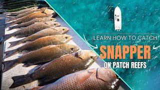 Catching Big Mangrove Snapper: Florida Keys Patch Reef Fishing Tips