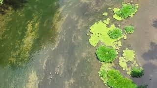 The Juniata River drying up in Bedford County, Pa. Filmed in Everett,Pa.