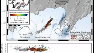 Earthquakes accompanying the Bardarbunga - Holuhraun dyke intrusion