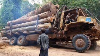 Old Power Heavy-Duty Truck Stuck in Deep Mud – Struggles to Move