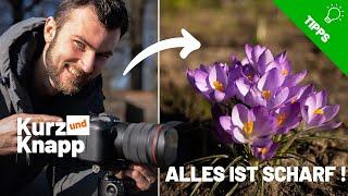 Alles über FOCUS BRACKETING | Kurz und Knapp