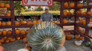 Better Late Than Never ‍️ Finally Decorating For Halloween || Visit Our Garden