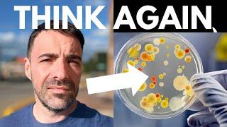 CHEAT On Carnivore? The Gut Truth You Need to Know!