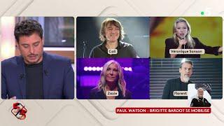 Paul Watson : Brigitte Bardot se mobilise - Le 5/5 - C à Vous - 22/10/2024