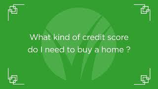 What kind of credit score do I need to qualify for a loan or purchase a home?