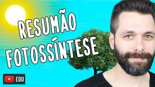 RESUMO sobre FOTOSSÍNTESE | Biologia com Samuel Cunha