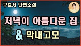 [저녁이 아름다운 집]인간의 애정과 배려로 가능한 각별한 울림.죽음과 삶의 그늘에 대한 속깊은 응시와 삶의 환한 자리[ 막내고모]시누이와 생활력 강한 올케의 한판 승부 구효서 지음