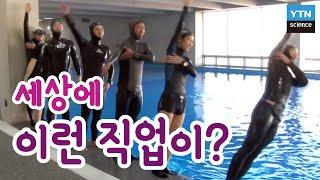 [황금나침반] 세상에 이런 직업이?  이색직업 열전 / YTN 사이언스
