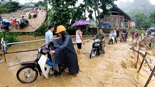 #685. Gặp nhau trong ngày mưa bão, sập cầu Phong Châu, Phú Thọ, phiêu lưu trong rừng