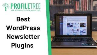 Best WordPress Newsletter Plugins | WordPress Plugin | WordPress Tutorial | Build WordPress Website