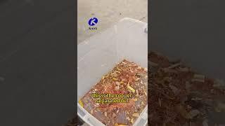 Powerful Hammer Crusher For Scrap Metal Recycling#machine #scrapmetalcrusher #scrapmetalrecycling