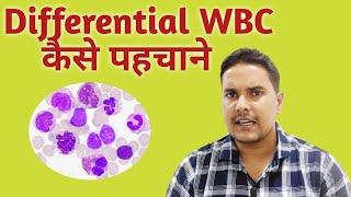 How to identify WBC | Manual wbc count formula | manual wbc count on smear