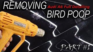 Removing Bird Poop from Car Paint!Part 1