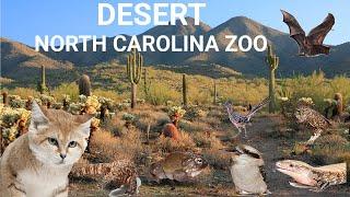 Uncaged Zoo Tours: Desert at the North Carolina Zoo #zootours