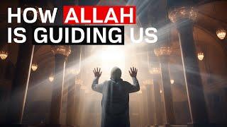 How Allah Guides Human Destiny Through Free Will