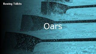 Rowing Oars Types and Fun Facts