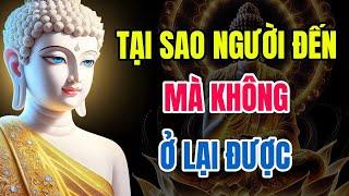 Duyên Đến Là Phước, Duyên Đi Là Nghiệp – Tỉnh Thức Trong Một Mối Tình Không Trọn