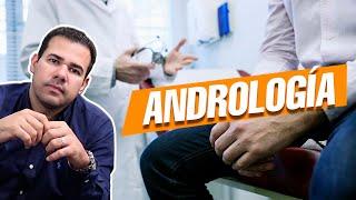 ¿Qué Pacientes Atiende un Especialista en ANDROLOGÍA?