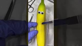 Experiment L.S.C.S #medicosmylifestyle#viralvideos#🫠🫠🫠