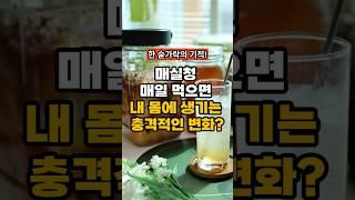 매실청 매일 먹으면 내 몸에 생기는 충격적인 변화!