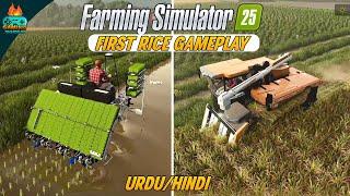 FS 25 Gameplay! Planting and harvesting rice in Farming Simulator 25